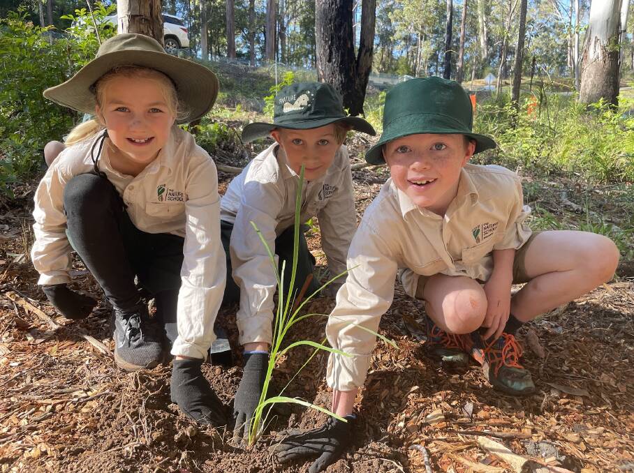 Nature School students Layla Whatman, Fred Morris and Jake White were some of the first to plant trees at the upcoming koala breeding facility at Guulabaa. Picture by Emily Walker