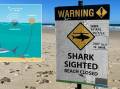 NSW DPI have added two more SMART drumlines on the Port Macquarie-Hastings Coast after a shark attack on the North Shore. Picture by sharksmart.nsw.gov.au / Emily Walker
