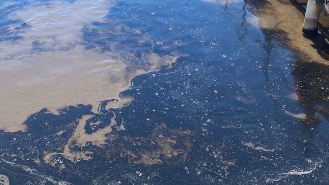 Motor oil was found dumped near the Port Macquarie Wastewater Treatment plant reactors. Picture supplied