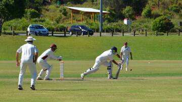 Veteran cricketers play for the Cooper Finlay Cup in interstate carnival