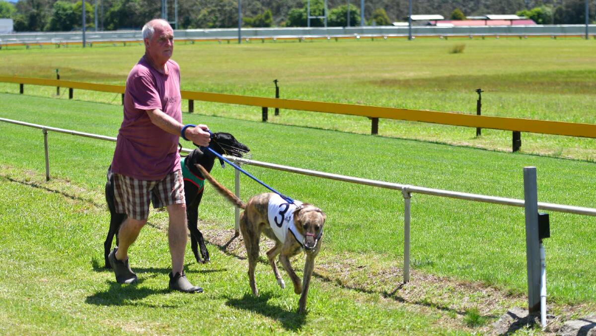 Both trainers and dogs will enjoy the upgraded facilities at Wauchope greyhound track. Picture by Paul Jobber