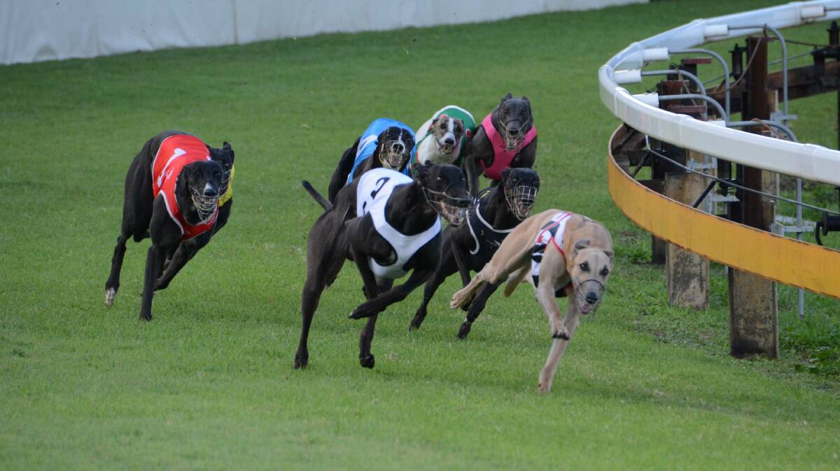 Greyhound racing will no longer happen at Wauchope following the construction of a Super Track at Taree.