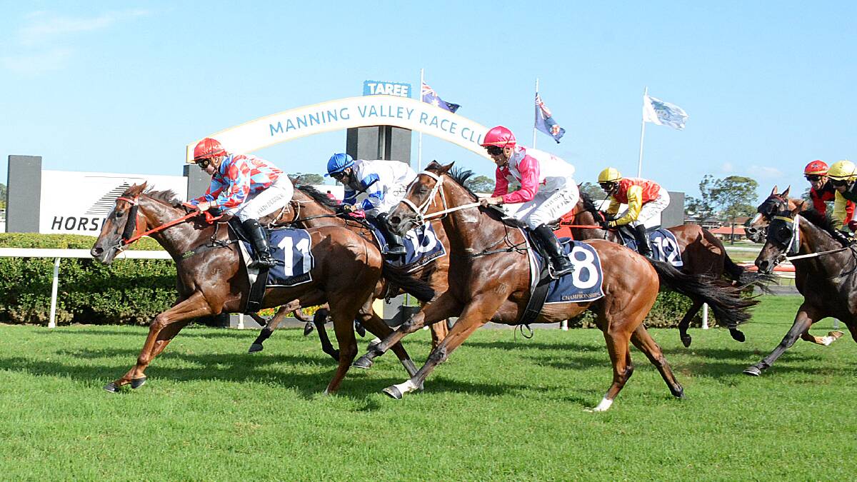 Little Prophet (centre) will aim to go one better than her second-place finish at Taree on February 20 in Saturday's Country Championships Final at Randwick Racecourse. Photo: Scott Calvin