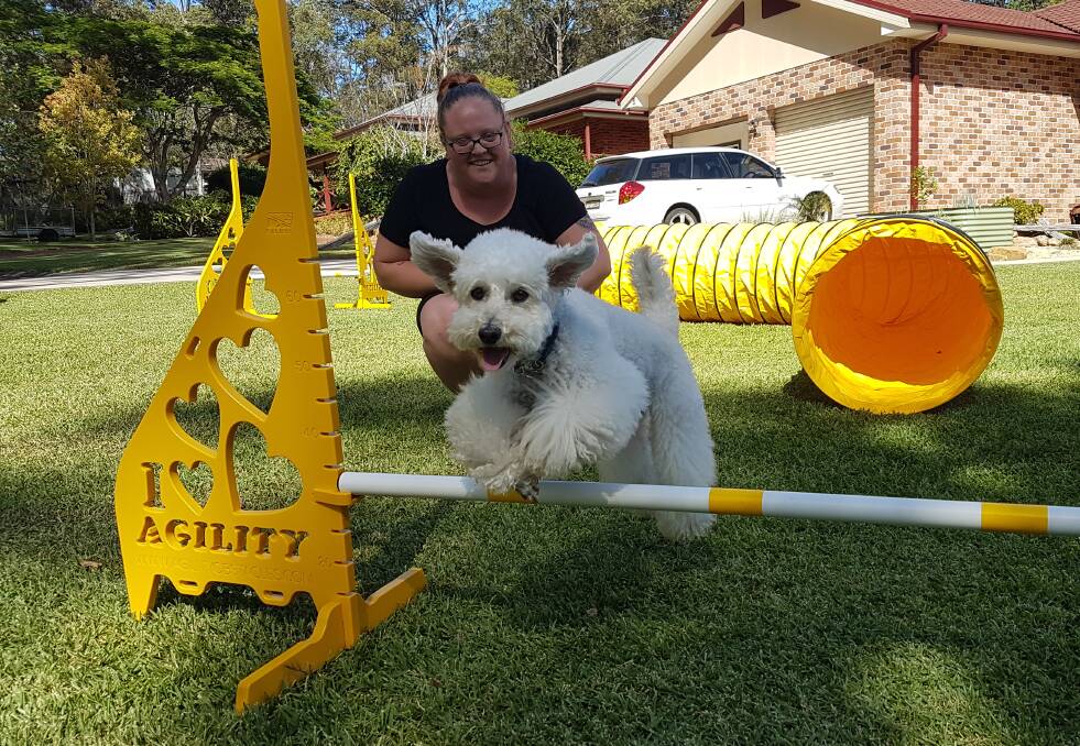 Port Macquarie dog, Benji takes out fourth at Sydney Royal Dog Show