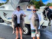Big smiles and even bigger blue eye trevalla with Ben Hill and Brett Main, showing
off a great catch off they recently caught off Port Macquarie. Picture, supplied