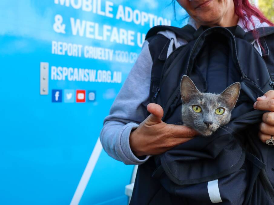 The Port Macquarie RSPCA Volunteer Branch plays a vital role in advocating for animals in need. Picture supplied by RSPCA NSW