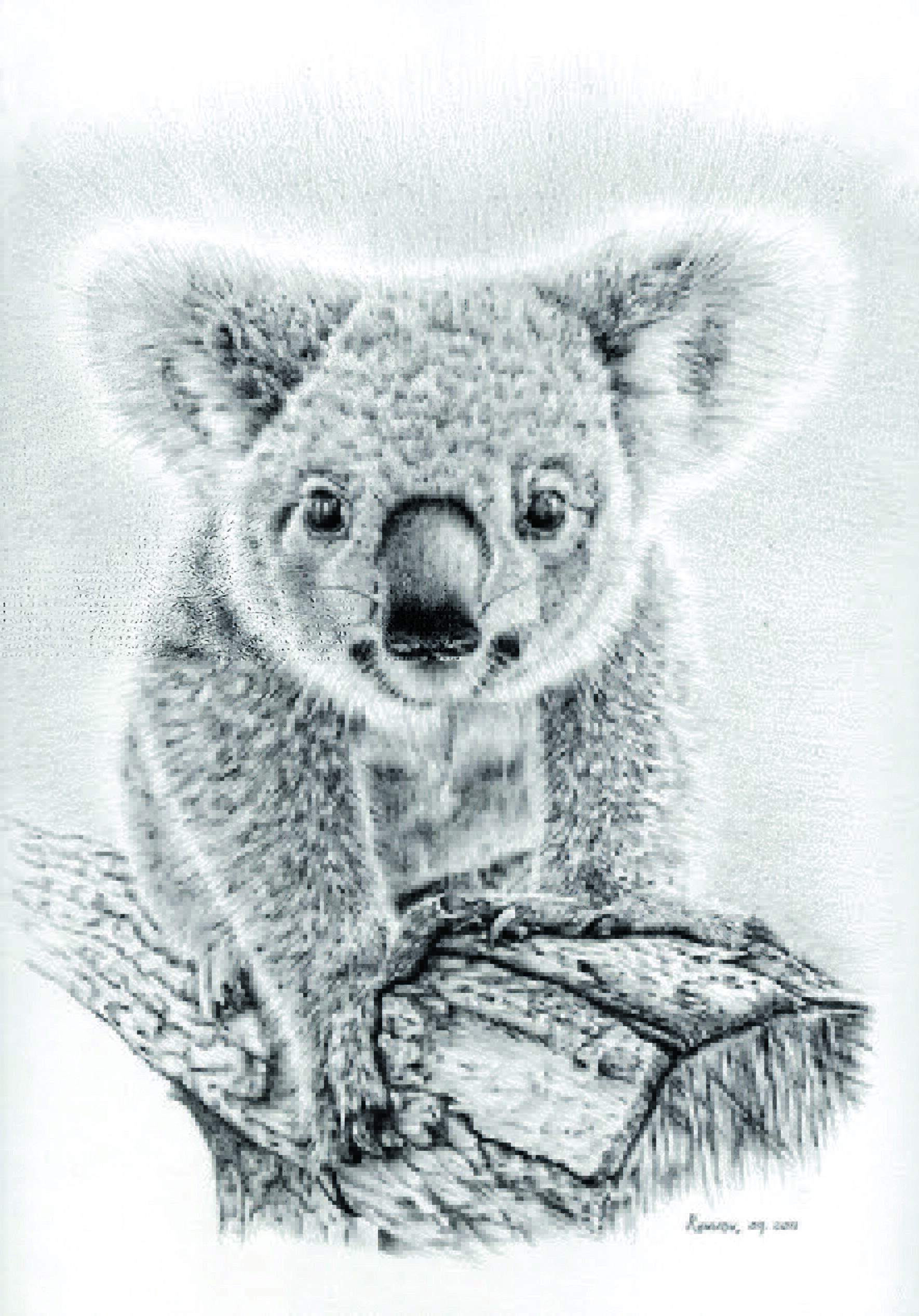 Hannah Precious Portraits - Quick #koala sketch this evening. #australia  #animal #cute #nature #art #artist #drawing #sketch #draw #sweet  #sketchbook #doodle #mammal #wildlife #conservation