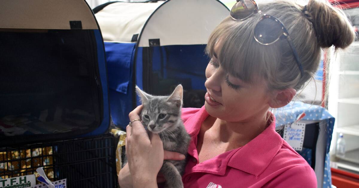 National Pet Adoption Day in PETstock Port Macquarie a huge success